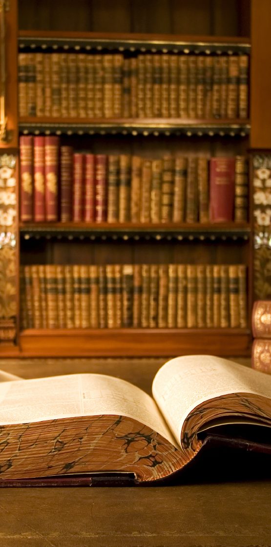 Impressum - Raviél - Bild © IONOS